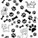 Papel de Parede - Start Animal - 003