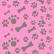 Papel de Parede - Start Animal - 029