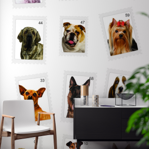 Papel de Parede - Start Animal - 011